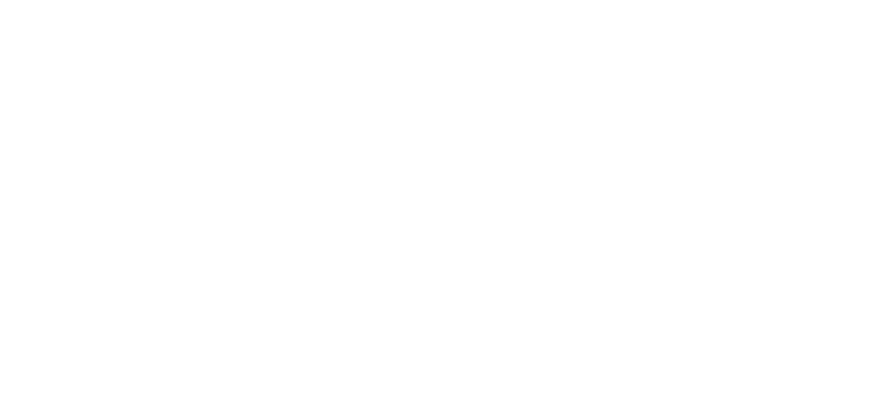 Hans Contábil